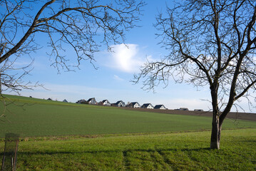 Rural landscape with agriculture field and single family detached homes in the background on a sunny autumn day. Photo taken December 20th, 2025, Oberh&ouml;ri, Canton of Zurich, Switzerland.