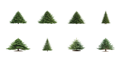 Obraz premium Collection of eight different shaped green pine trees isolated on a black background for design projects on transparent background
