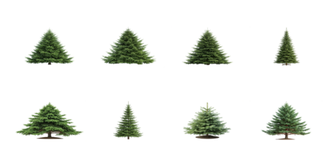 Collection of eight different shaped green pine trees isolated on a black background for design projects on transparent background