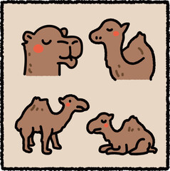 Hand-Drawn Camel Illustration Set, Desert Mammal Adaptation Educational Cartoon