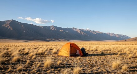 Orange tent stands alone in vast golden meadow below snowy mountain range