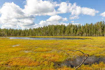 Finnland, Land der unendlichen Weite und der Ruhe