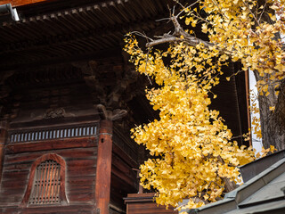 善光寺　長野市