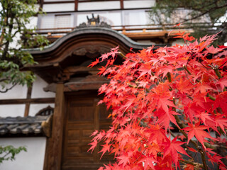 善光寺　長野市