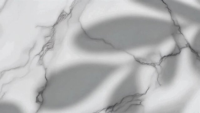 Elegant white marble texture background with delicate, subtle shadows of leaves, creating a sophisticated and natural pattern for design and aesthetic projects