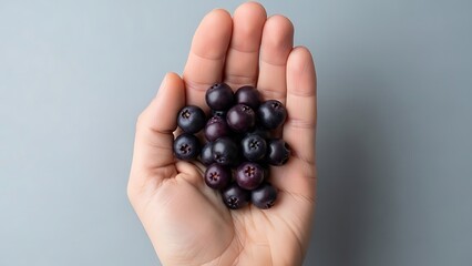 human hand cupping huckleberries