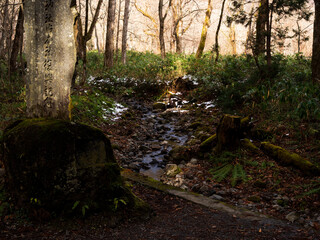 Naklejka premium 戸隠 山中風景