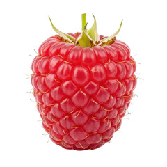 Single Raspberry Isolated Black Background Macro