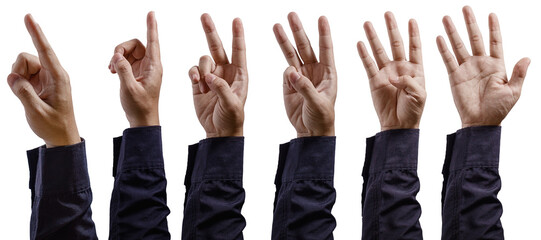 Human Hands Counting from One to Five with Finger Gestures. Human Arm Set Background. High quality photo