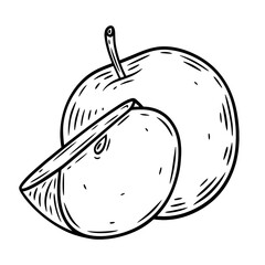 Hand drawn apples , monochrome engraving, line art style vector illustration isolated on white background	