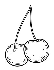 Hand drawn cherries , monochrome engraving, line art style vector illustration isolated on white background	