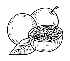 Hand drawn passion fruit, monochrome engraving, line art style vector illustration isolated on white background	