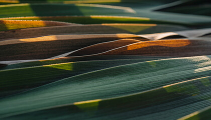 Natural surface pattern photographed with architectural precision minimal color variation on serene landscape