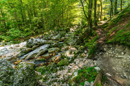 Serene Sunik Waterfalls Hike Along Lepenjica River Through Triglav National Parks Lush Forests