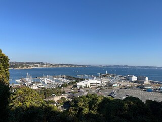 江の島から見た海