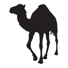 Black Camel Silhouette Set