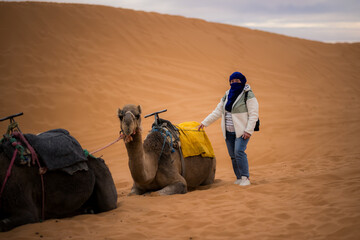 A woman in a blue scarf stands beside resting camels on golden desert dunes, calm evening light highlighting the quiet rhythm of travel and life in the sands.