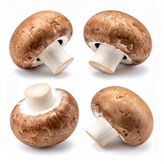 Four brown mushrooms, isolated on white.  Each mushroom is presented from a different angle, showcasing its cap and stem