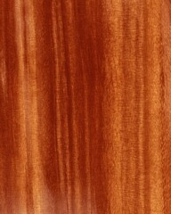 Wood Grain Texture of Mahogany Wood