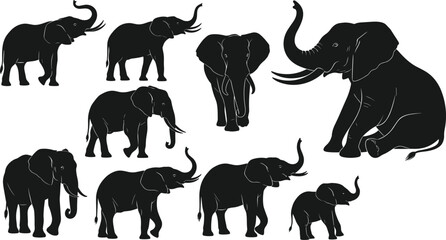 Elephant silhouettes set featuring african wildlife animals, standing elephants, walking postures, sitting pose, baby calf icons, and majestic tusker figures in nature. © Dilip