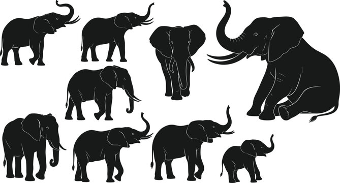 Elephant silhouettes set featuring african wildlife animals, standing elephants, walking postures, sitting pose, baby calf icons, and majestic tusker figures in nature.