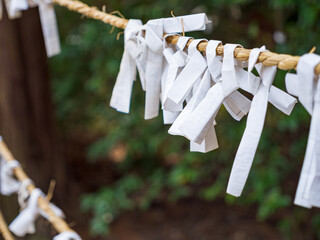 神社で願いを込めて結ばれたおみくじ