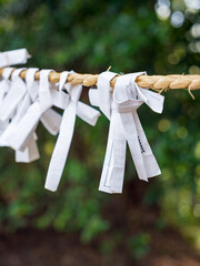 神社で願いを込めて結ばれたおみくじ