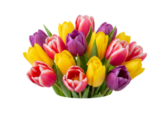 Vibrant bouquet of colorful tulips on black background
