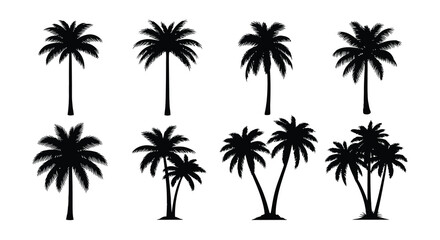 Fototapeta premium A collection of black silhouette palm trees in various shapes and sizes