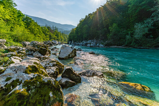 Serene Isonzo River Flowing Through Triglav National Parks Lush Green Paradise - Powered by Adobe
