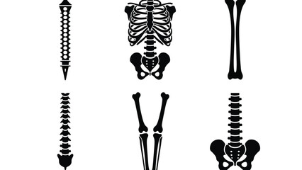 Human skeleton and bone illustrations in black