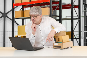 Warehouse, logistics management. Middle-aged warehouse manager reviews inventory data on a laptop, analyzing orders and packages, planning storage operations and supply chain decisions.