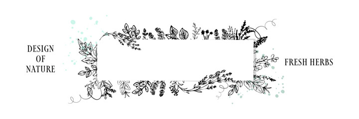 Botanical Herb Leaves Frame for Natural Wellness and Spa Branding - Green herb leaves forming a botanical frame with blank center for spa branding, organic products, and wellness design.