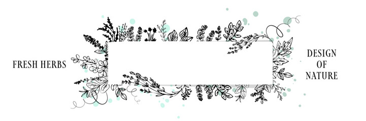 Hand Illustrated Herb Frame with Botanical Leaves and Copy Space - Illustrated herb leaves creating a botanical frame with copy space for eco design, wellness branding, and organic layouts.