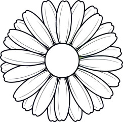 Empty vector file display