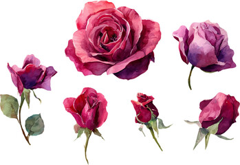 Fototapeta premium bouquet of roses