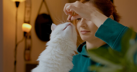 In a cozy office setting, a woman enjoys a calm moment as she gently feeds her playful white cat, showcasing their loving bond over a meal of grains.