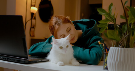 Freelance professional resting peacefully with white fluffy cat beside laptop, embodying cozy home office relaxation and work life balance