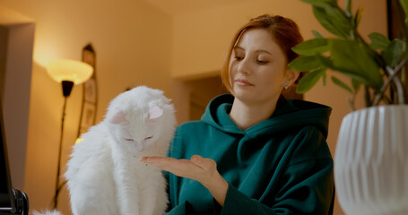 Gentle young woman with red hair lovingly feeding white Turkish Angora cat while sitting at home table near lamp and potted plant