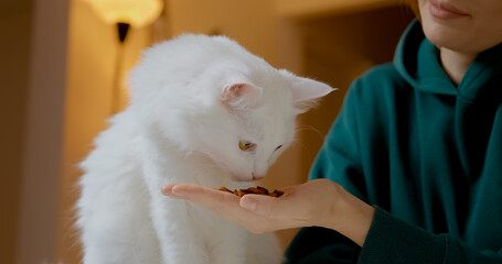 Young woman gently feeding white fluffy cat with treat from hand, showing tender bond and loving relationship between pet owner and feline companion