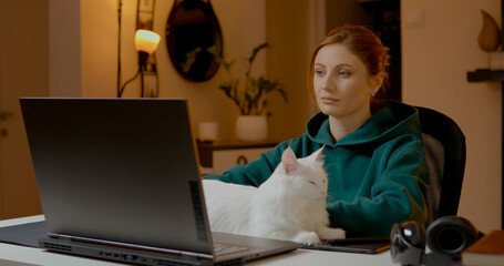 Woman is focused on her laptop while studying at home. A white cat rests comfortably in her arms, creating a cozy atmosphere in her workspace.