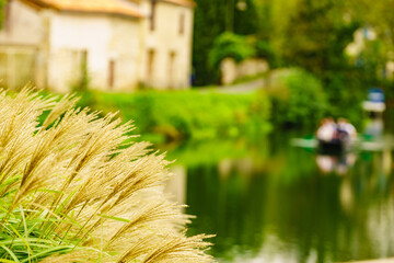 Flowers by riverbank, Coulon in France
