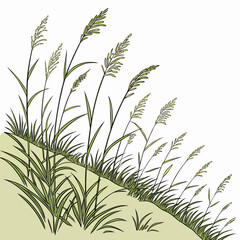 Fototapeta premium Prairie slope with long green grass and seed heads on white background