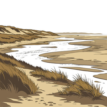 Coastal sand plain with wet texture and dune grass realistic