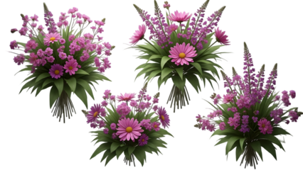 Three purple flowering plants with green leaves on black background