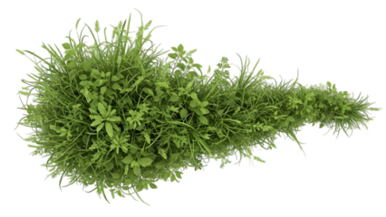 Lush green moss and foliage growing on a dark textured surface