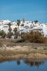 Fototapeta premium Beautiful view of white houses in Conil de la Frontera reflected in a natural pond, featuring the historic church tower, palm trees, and coastal vegetation under a bright blue sky in Andalusia, Spain.
