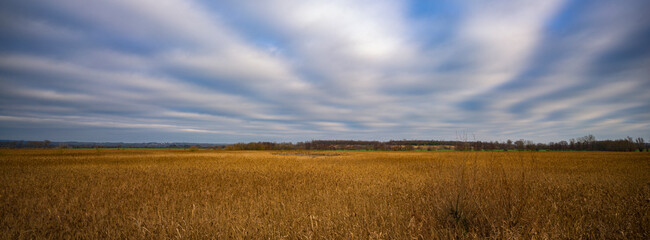 eine Graslandschaft im Herbst mir bew&ouml;lktem Himmel