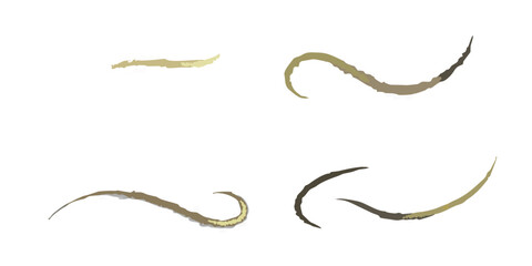 Abstract brushstrokes of brown paint against a dark black background