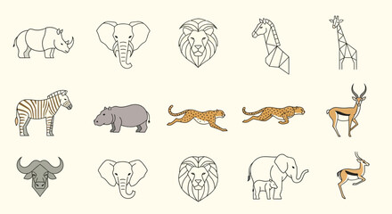 Collection of Various Wild Animal Illustrations.